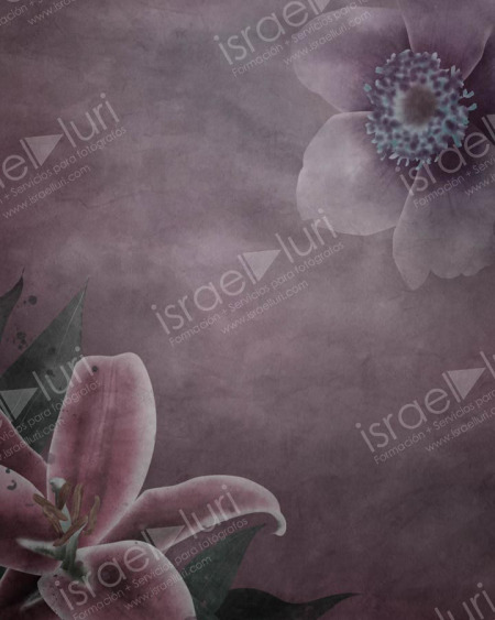 Set 08 Texturas FineArt II (Florales) Plantilla Photoshop